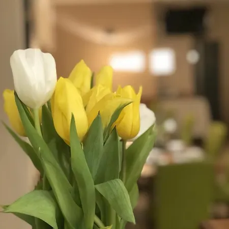 Kaiservilla 3* Berndorf (Baden)